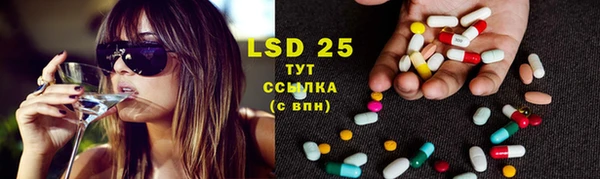 PSILOCYBIN Лагань