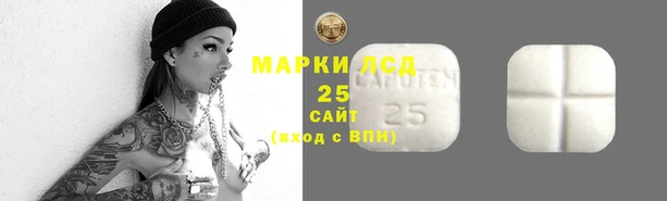хмурый Лиски