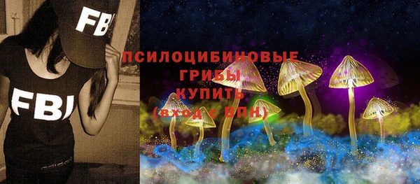 apvp Липки