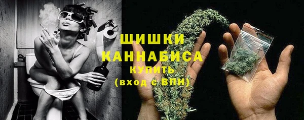 хмурый Лиски