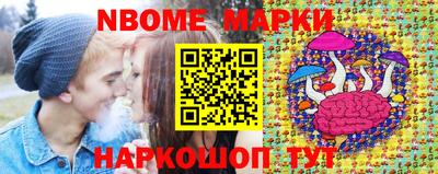 стаф Кинель