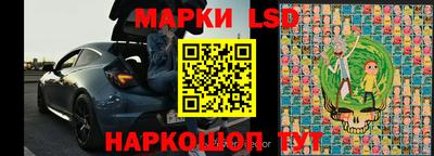 стаф Кинель