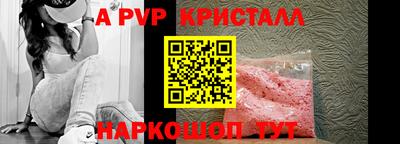 jwh Кингисепп
