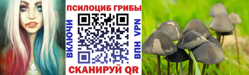 Галлюциногенные грибы Cubensis  Тихорецк 