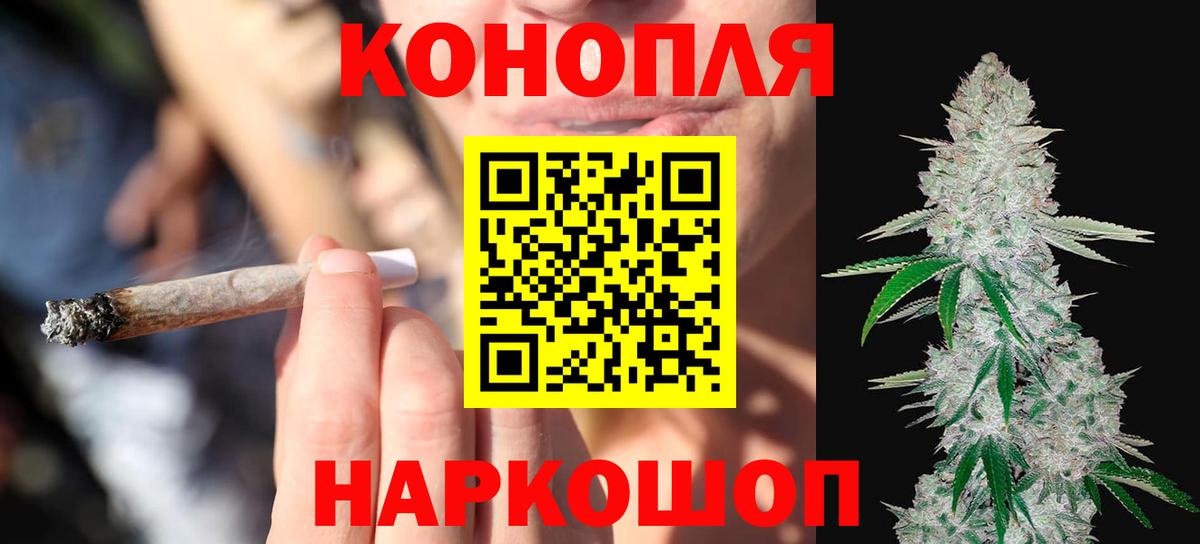 Конопля сатива Тихорецк